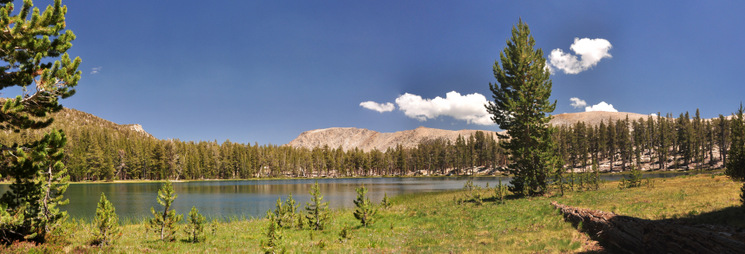 Forrester Lake Forrester Lake